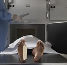 Food 4 The Soul Behind The Formaldehyde Curtain By Jessica Mitford