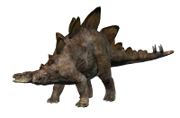 Stegosaurus