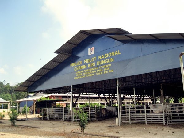 Lembu Senyum