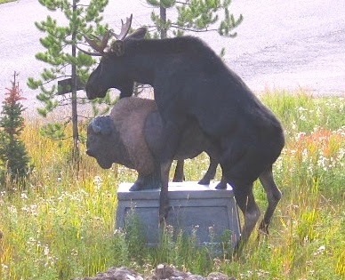 Video en tout genre. 1227582051-Moose+defiles+statue
