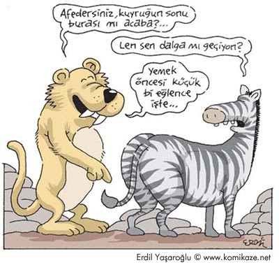 zebra+erdil+yasaroglu+karikatur.jpg