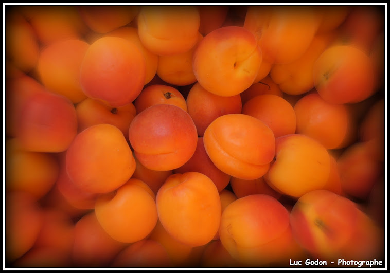 Abricots...