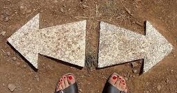 Growth Or Dividend Fund Option-which One Suits You!