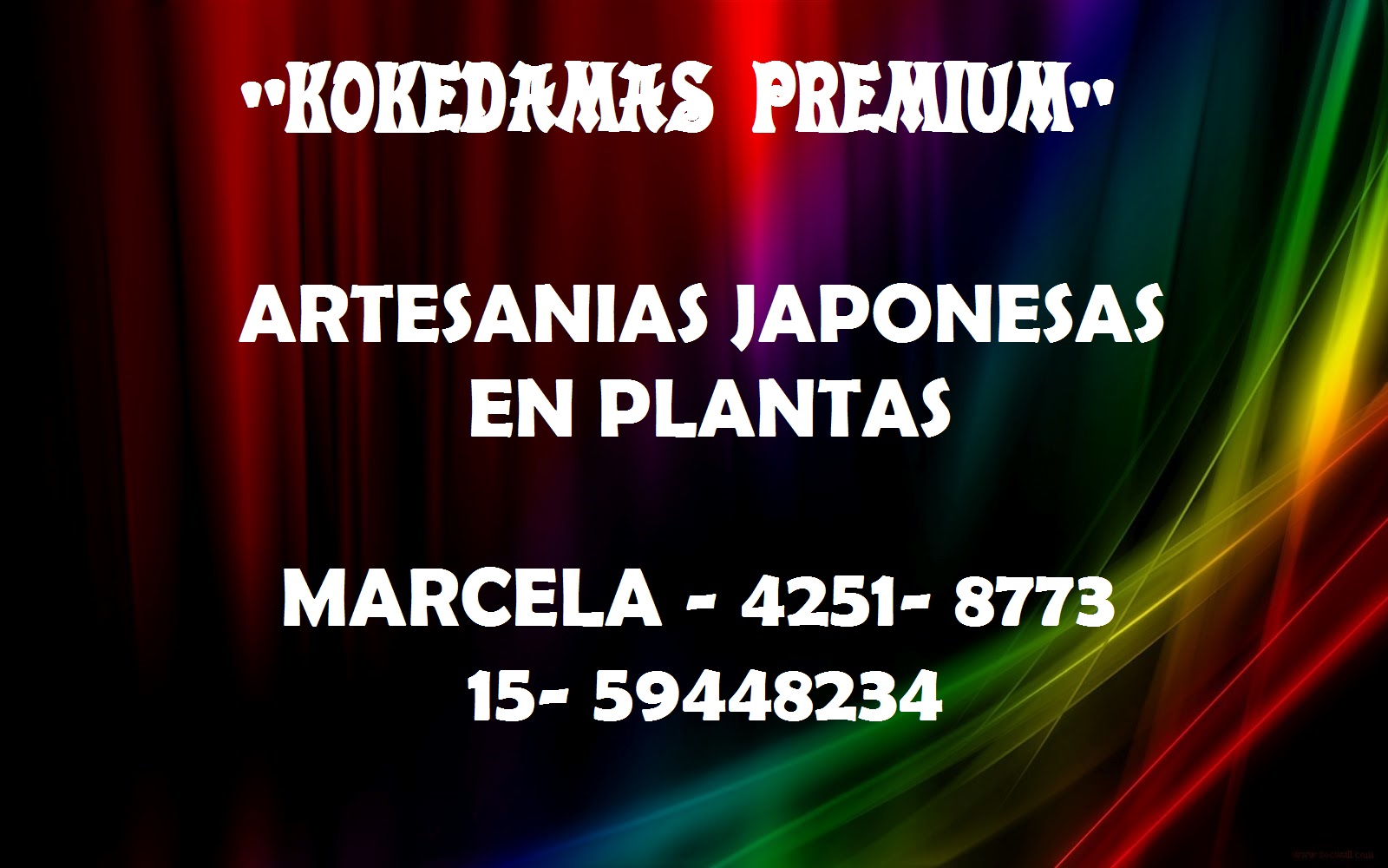 KOKEDAMAS PREMIUM