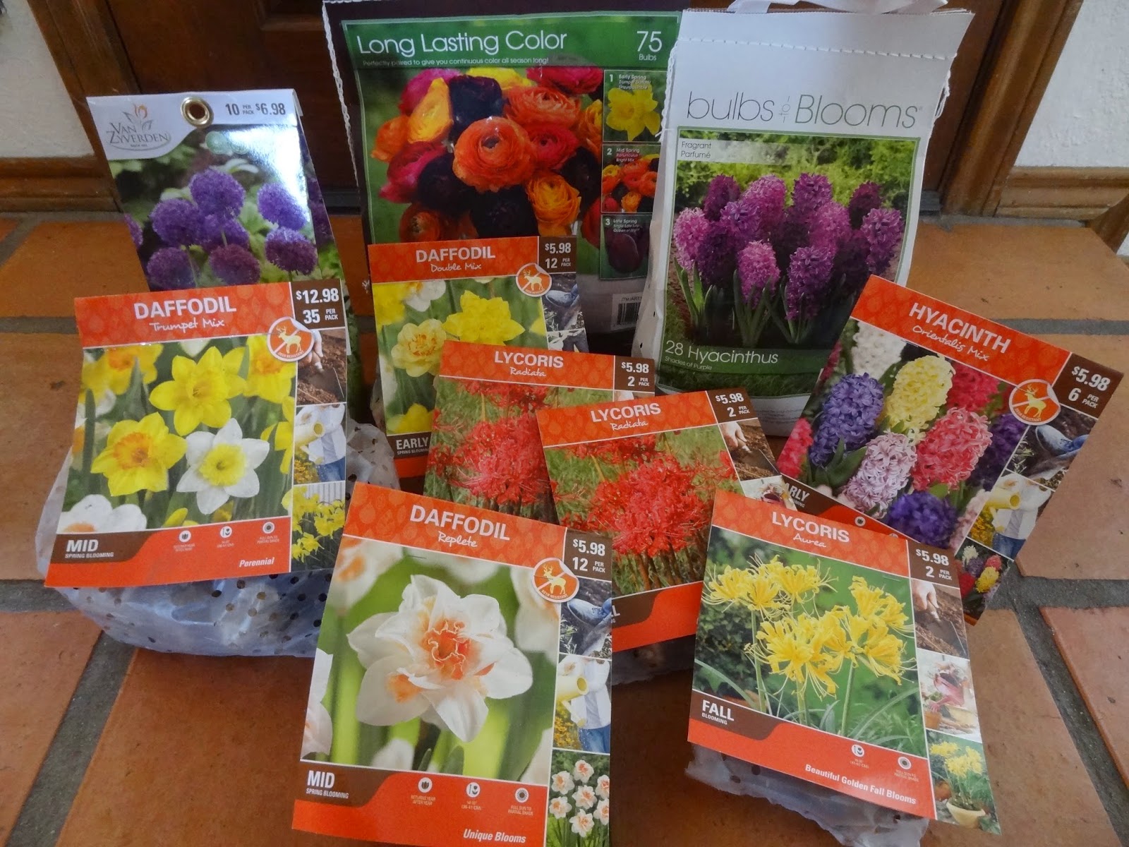 Rebecca's Texas Garden Fall Bulbs