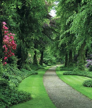 perfect landscape architecture