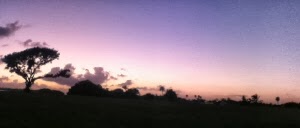 Florida Sunset in den Everglades