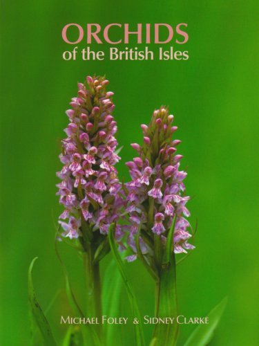 Orchids of the British Isles