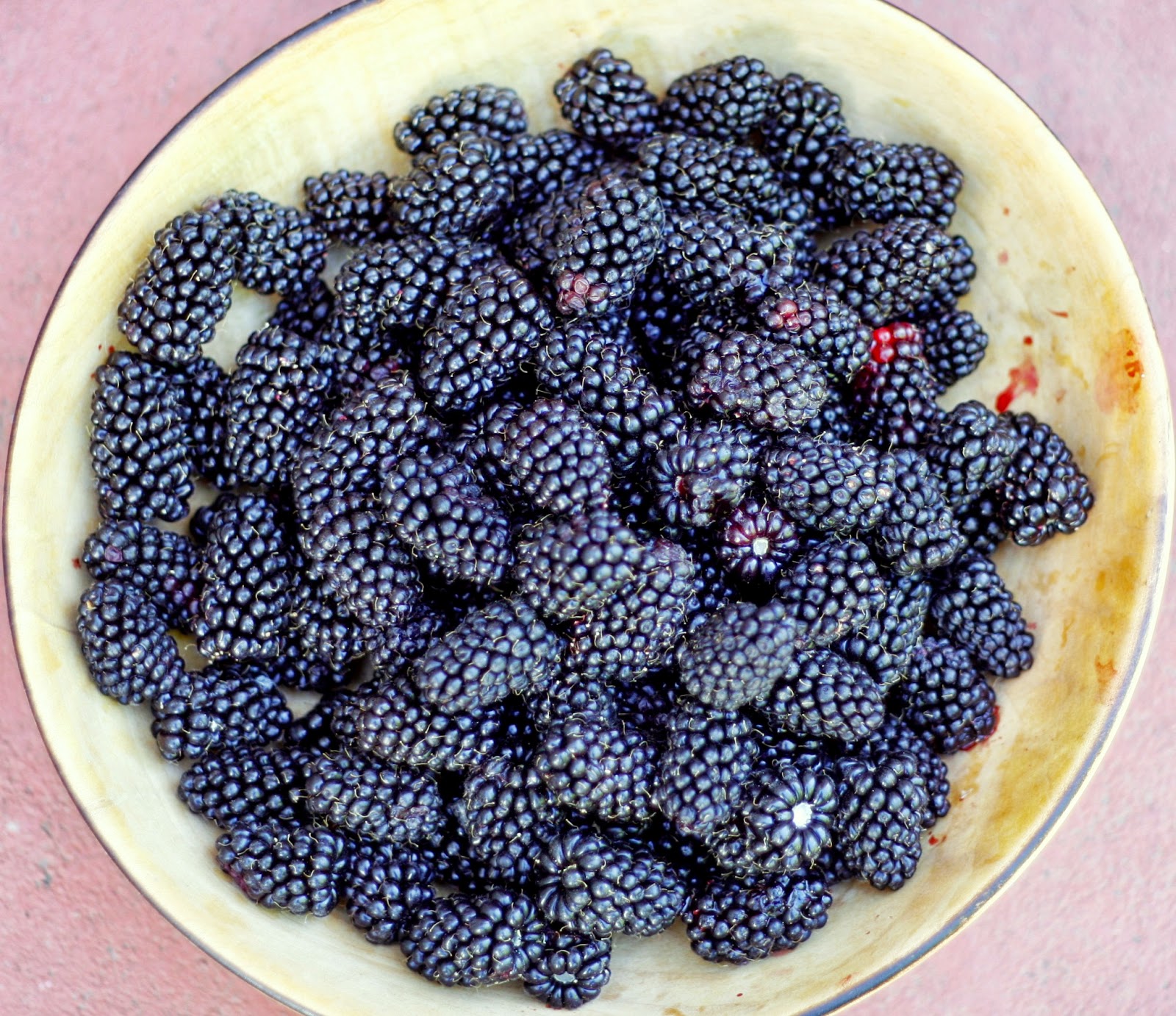 StocktonMama Where to go and what to do for San Joaquin County