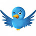 Cara Menambahkan Burung Twitter Pada Blog
