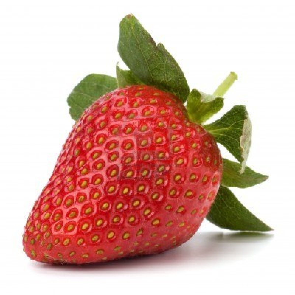 strawberry more information about strawberry strawberry more information about strawberry