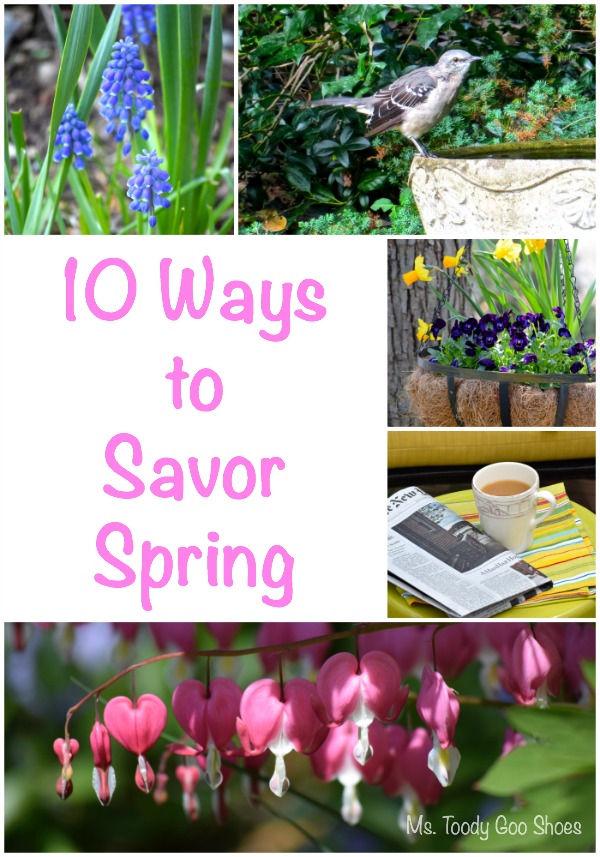 10 Ways To Savor Spring | Ms. Toody Goo Shoes #gardening #backyardbirding 10 Ways To Savor Spring | Ms. Toody Goo Shoes #gardening #backyardbirding