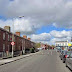Dublin Ireland: Poisoned Stray and Feral Cats