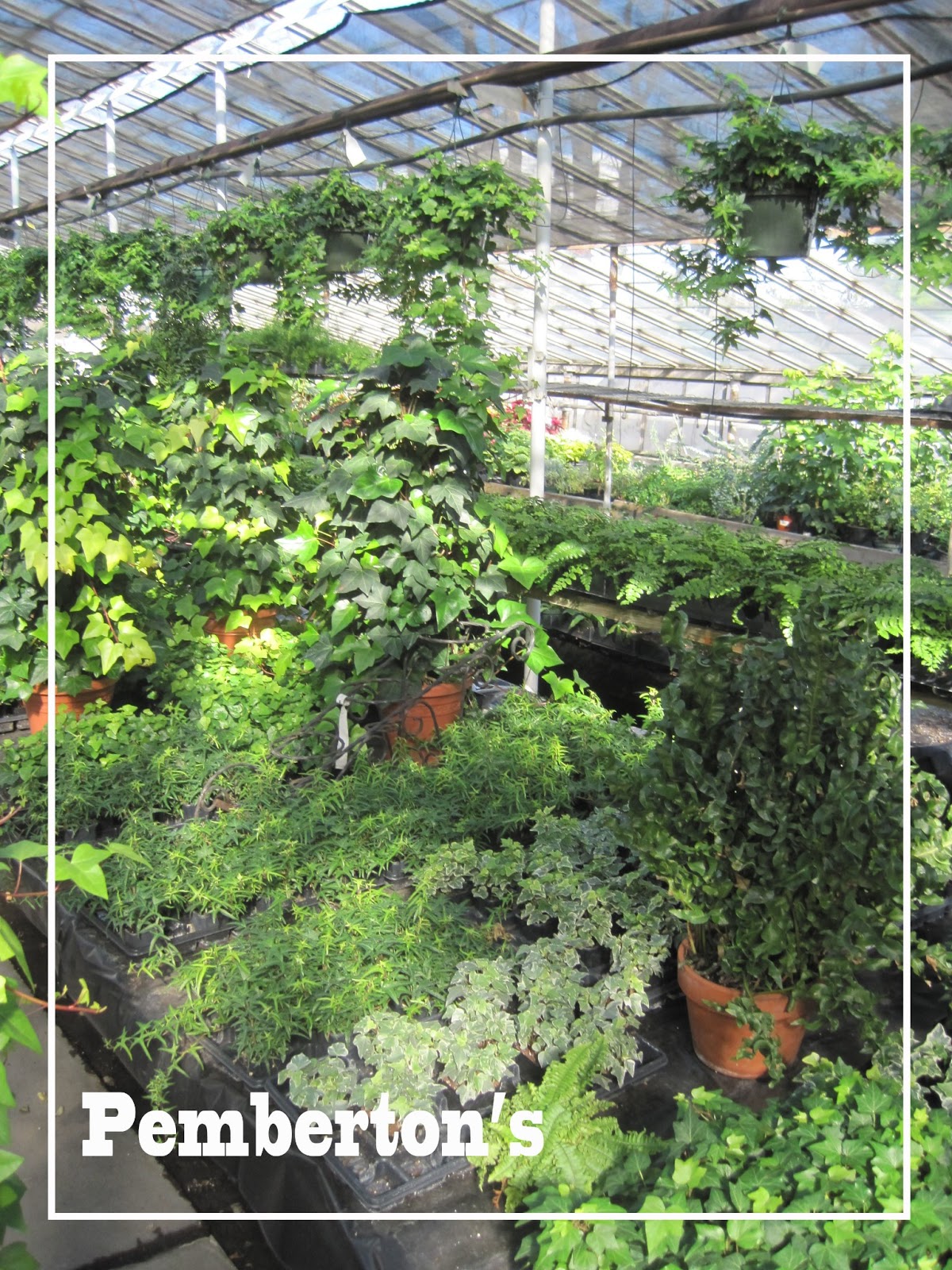 Peyton Greenhouse Lexington Ky at Brooks blog