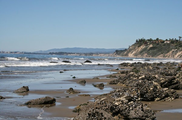 Hendry's Beach mussel-covered rocks Hendry's Beach mussel-covered rocks