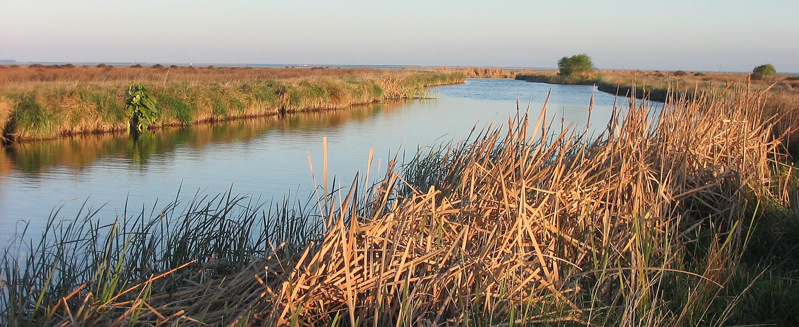 Halswell River Alchetron, The Free Social Encyclopedia