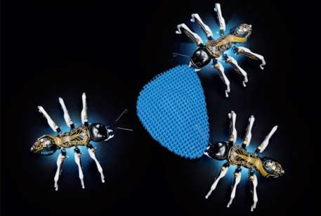 Le formiche robotiche BionicANTs