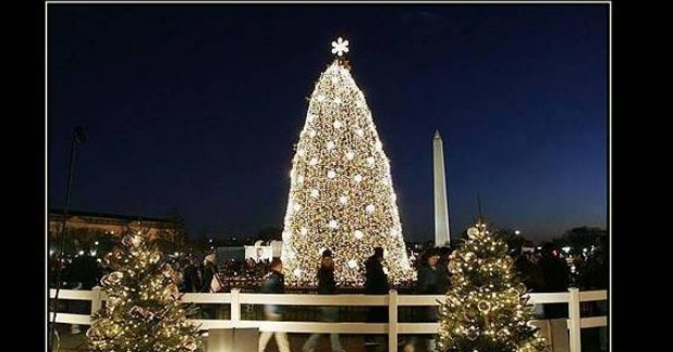 Does The Bible Prohibit Christmas Trees? - Does The Bible Prohibit Christmas Trees?