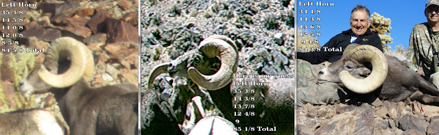 left+horn+view+of+pinky,+logo+and+number+three+with+numbers.jpg