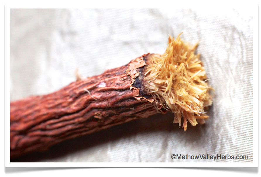 Methow Valley Herbs Brush your teeth with roots!