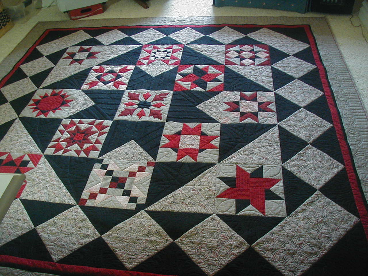 Tennessee Quilter Two Quilts Finished