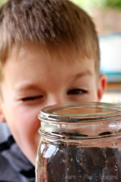 Exploring surface tension - simple water science for kids