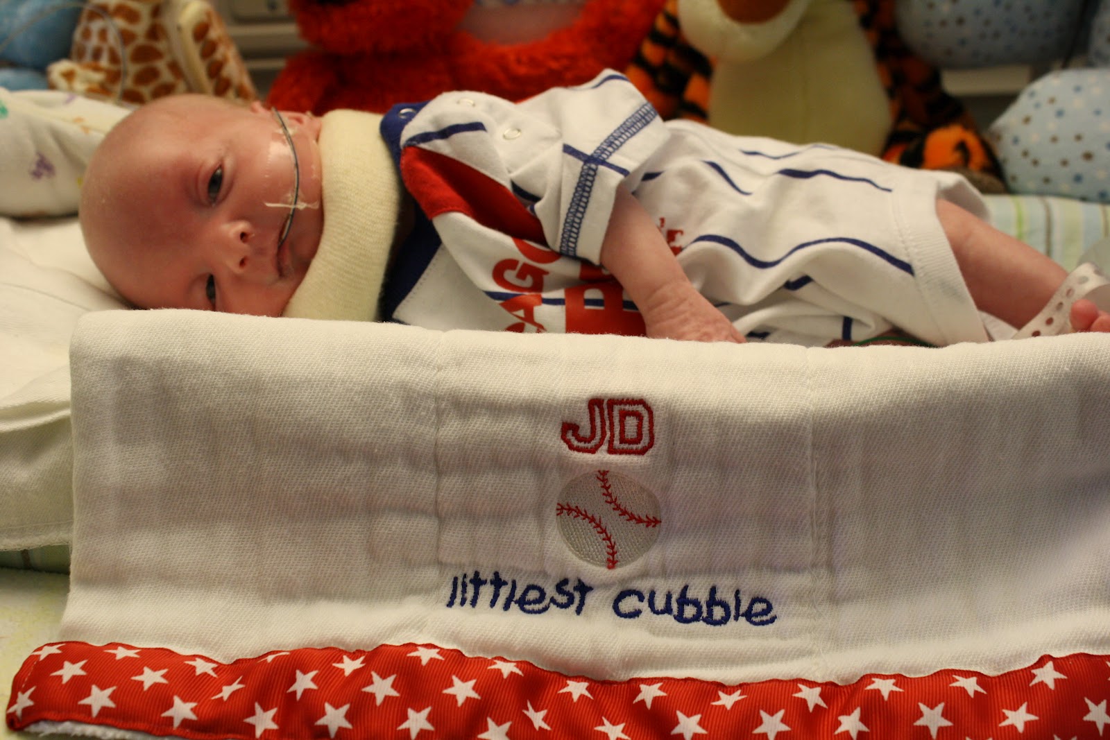 Our Family in a Snapshot MTV Cribs NICU Edition