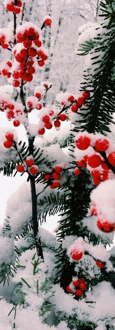 Desktop Backgrounds 4U: Winter Scenes