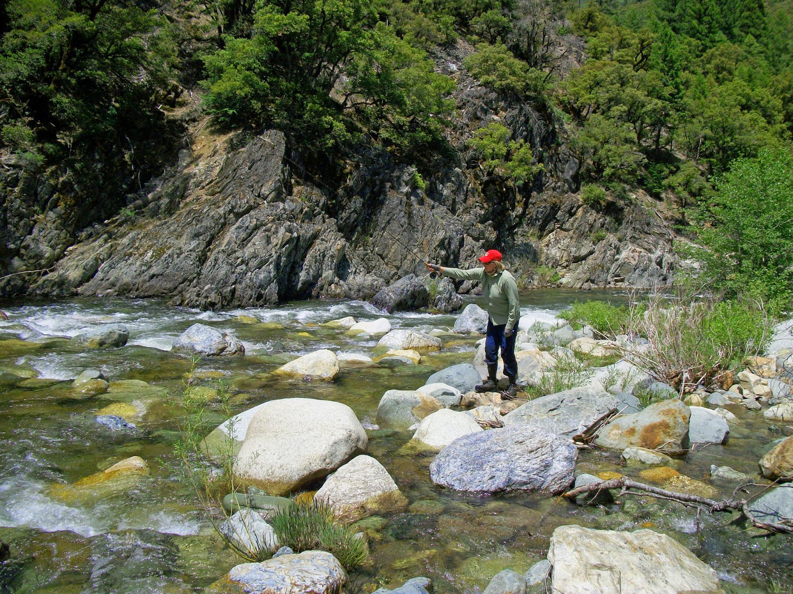 Jon Baiocchi Fly Fishing News North Fork Yuba River Fishing Report 5/28/14