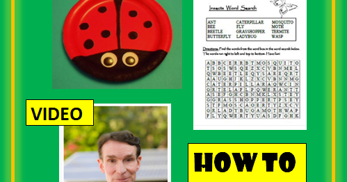 Learning Ideas - Grades K-8: Insects for Kids