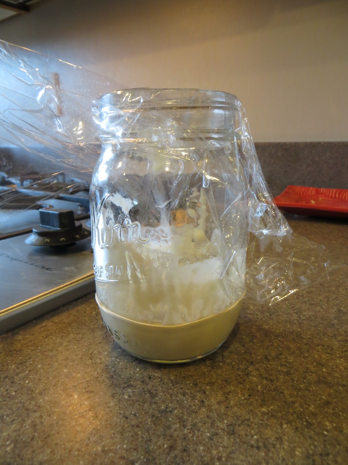 Adventures with Natural Yeast Natural Yeast Starter made from Raisins