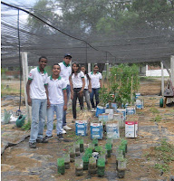 Semana do Meio Ambiente Educação Profissional