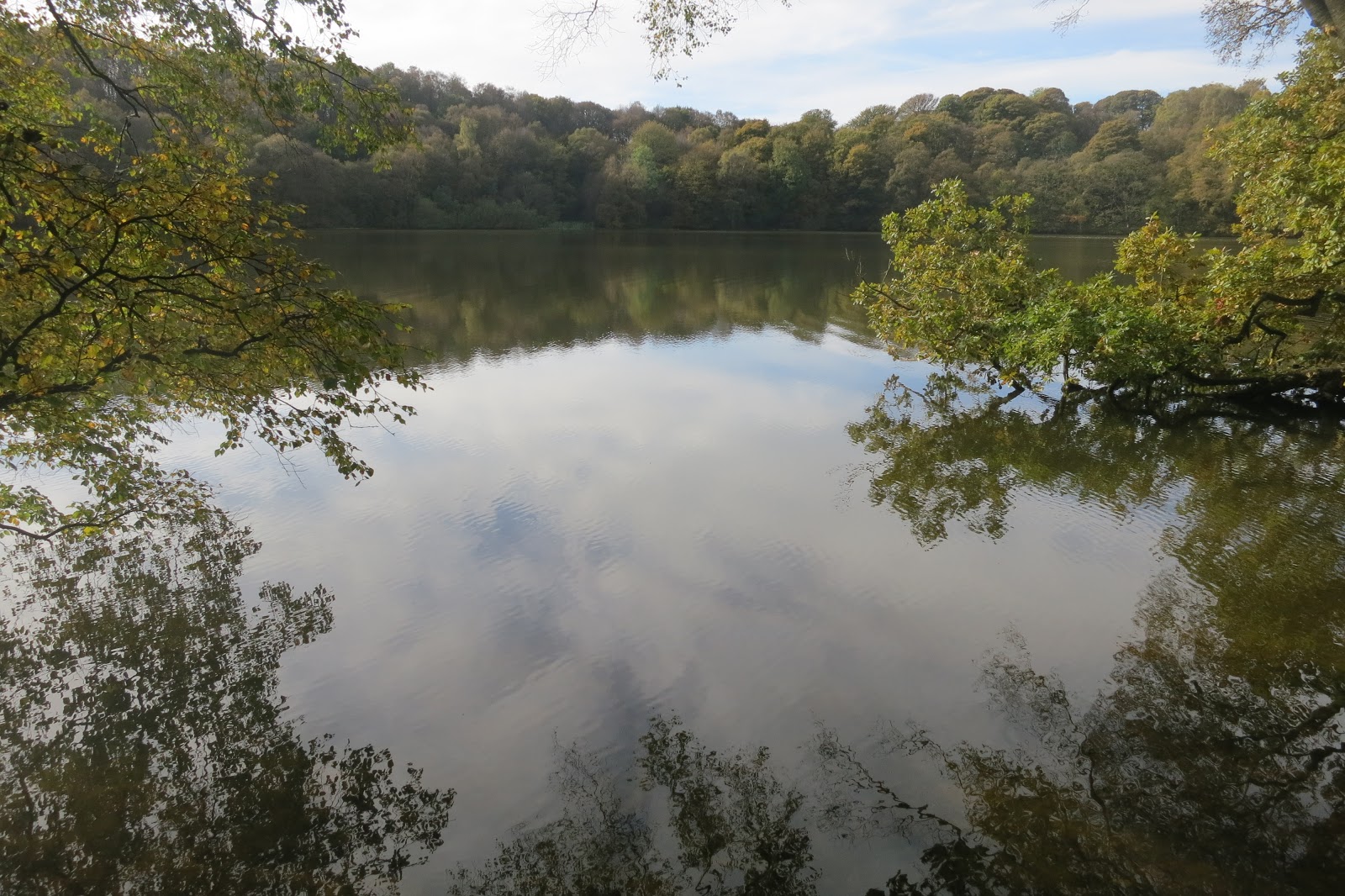 Sutton Bank Walk to Whitestone Cliff, Gormire Lake & the White Horse