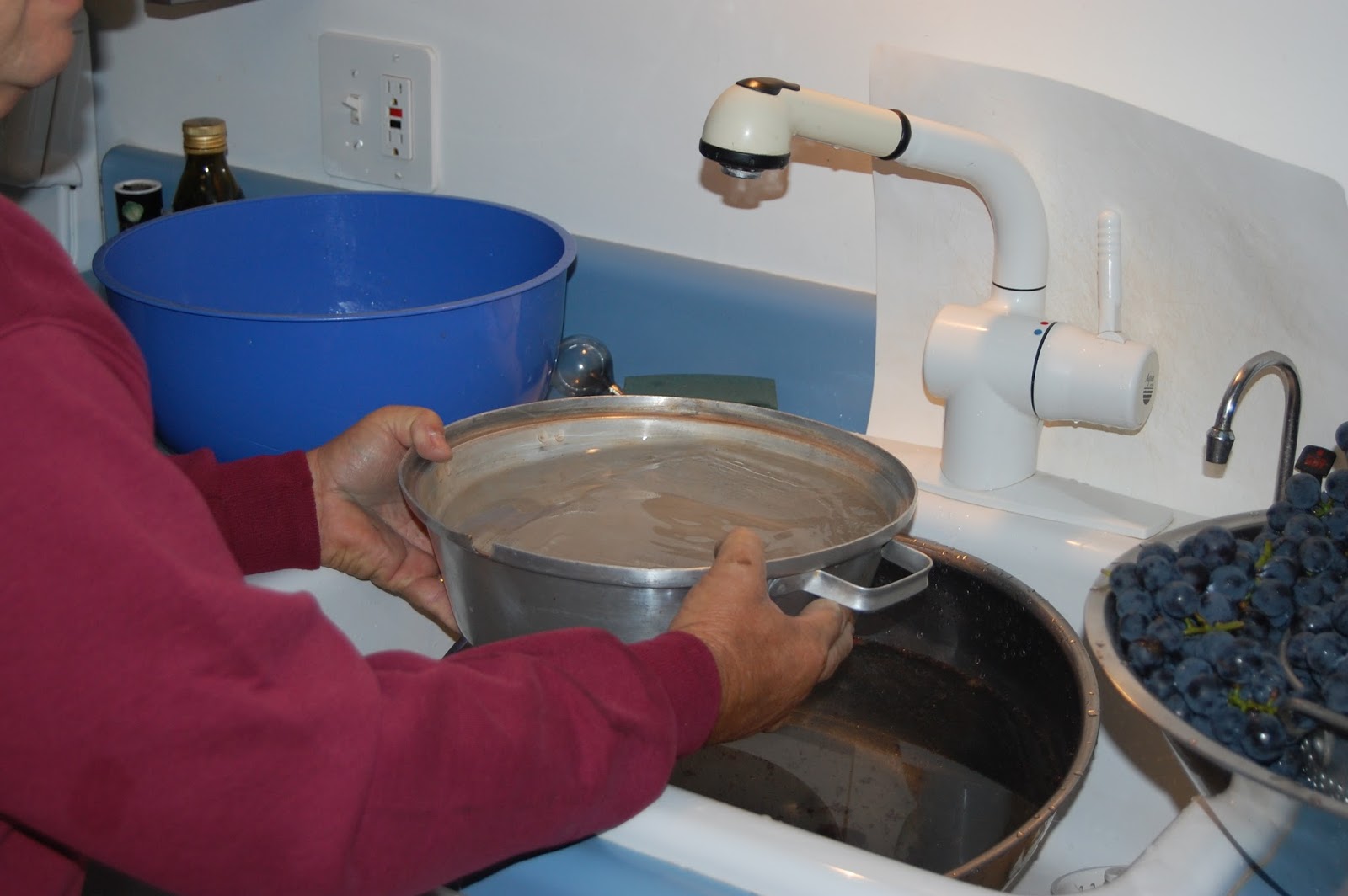 Cook! Create! Consume! Make and bottle your own grape juice