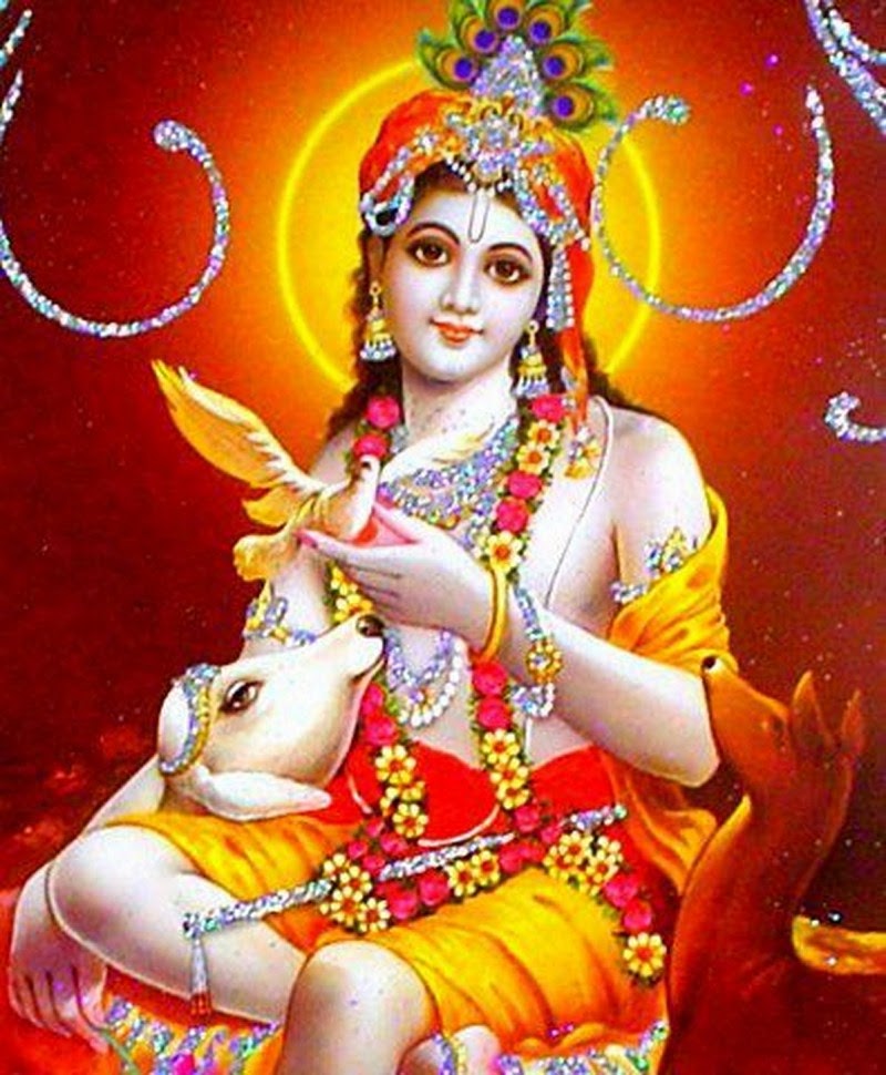 lord sri krishna images hd wallpapers download wallpaper1download