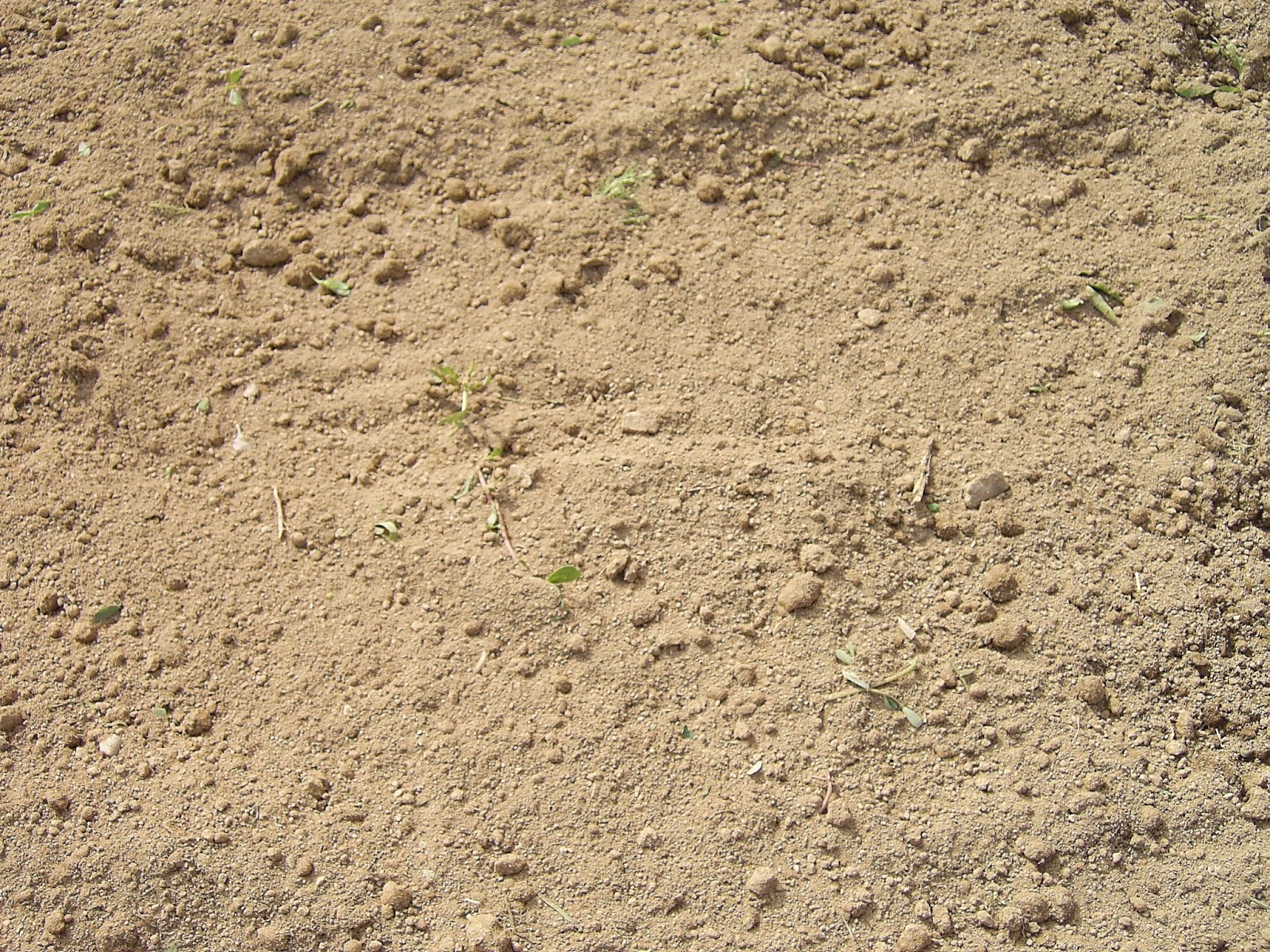 terreno canteiro