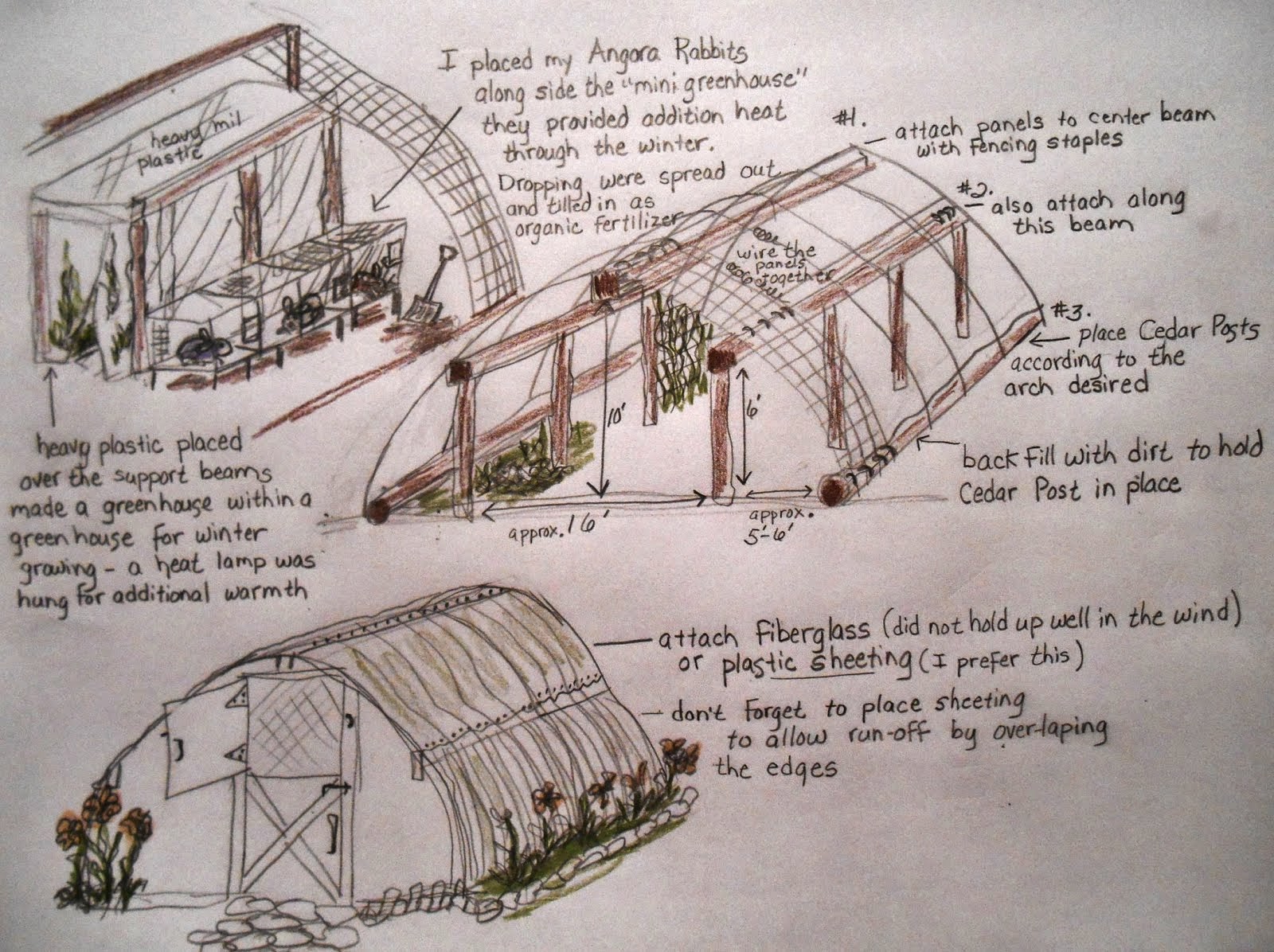 CATTLE PANEL GREEN HOUSE