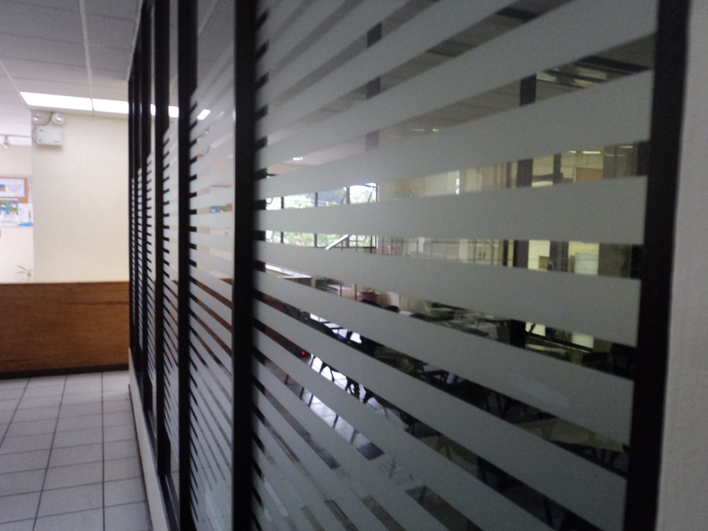 Formularios Standard Rayado personalizado en Vinyl Frost ~ SandBlasting