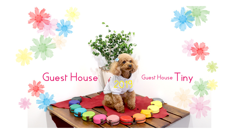 Sosakuya Miyazaki Guest House & Tiny / HitoShio