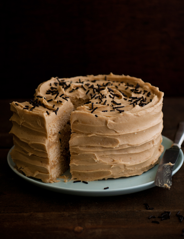 chocolate sprinkle cake