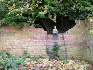 roofrack used as a ladder against broken wall