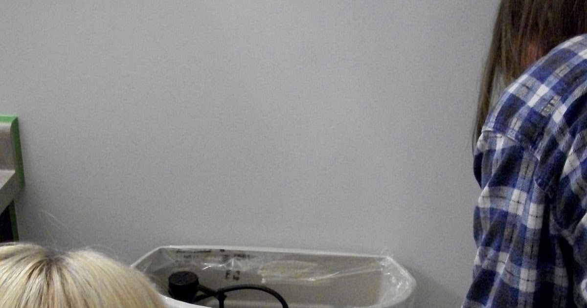 Live From B5 How to Paint Around a Toilet