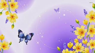 spectacular-butterflies-vector-hd-wallpaper-1080p-hd-background