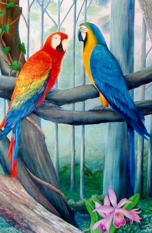 Pin En Pintura Animales Aves Pin En Pintura Animales Aves