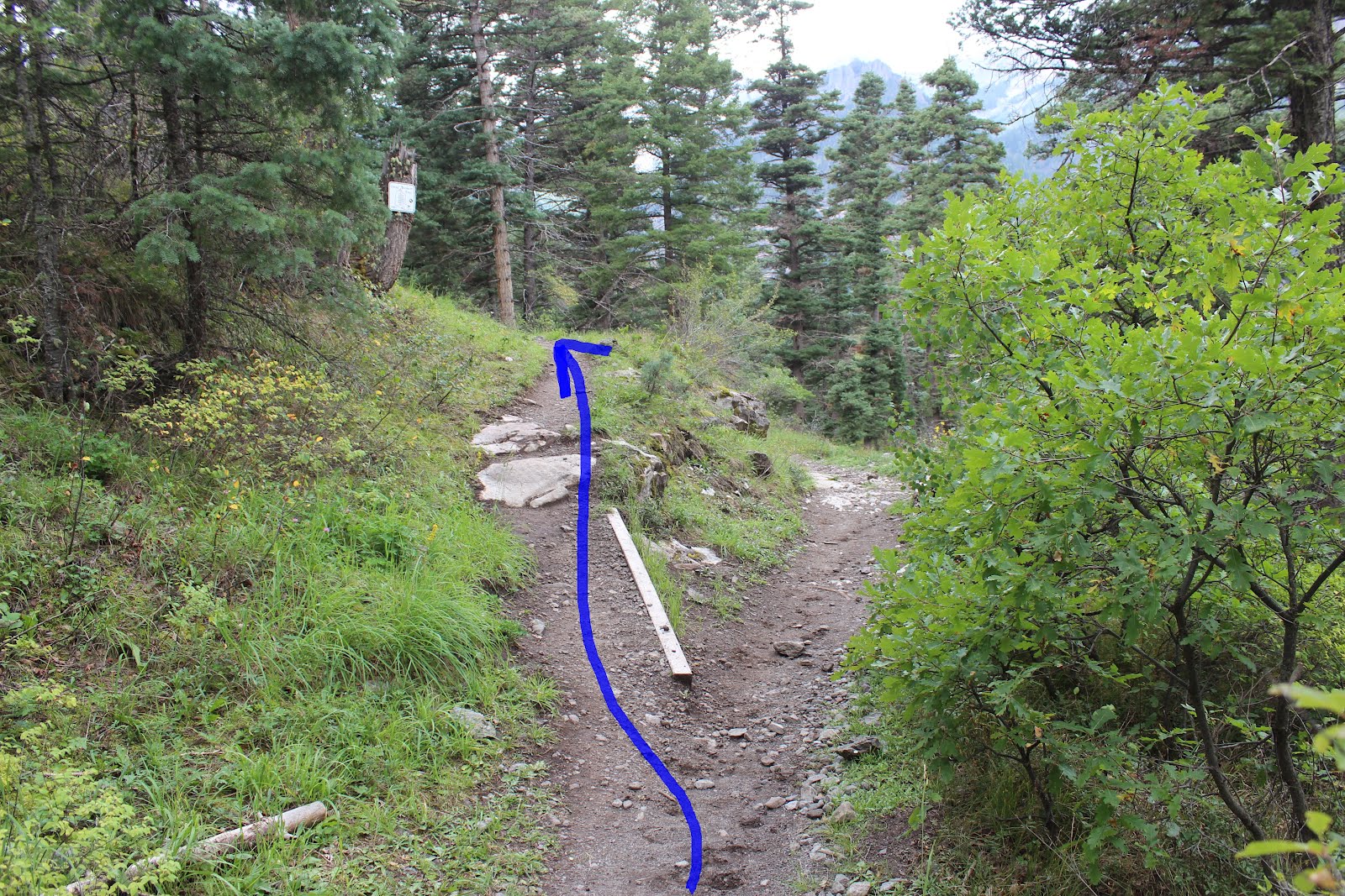 Ouray Perimeter Trail