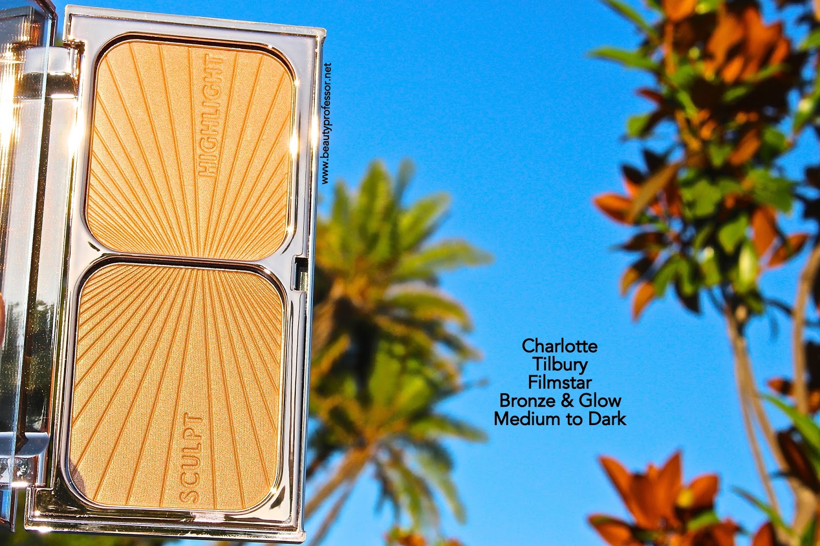 Beauty Professor Charlotte Tilbury Bronze & Glow...An Overview with Swatches of All Three Versions