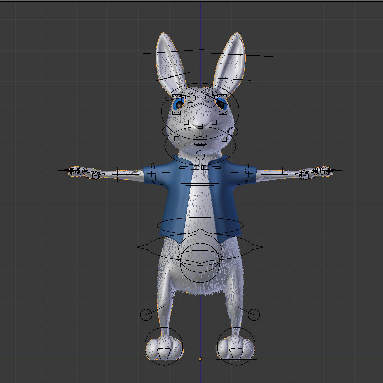 Cg Rabbit