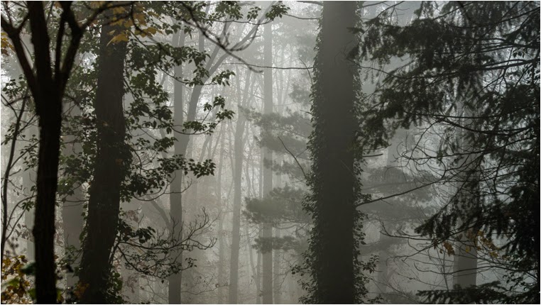 emerging photographers, Best Photo of the Day in Emphoka by Sebastian Fischer, https://flic.kr/p/pSNqwY emerging photographers, Best Photo of the Day in Emphoka by Sebastian Fischer, https://flic.kr/p/pSNqwY