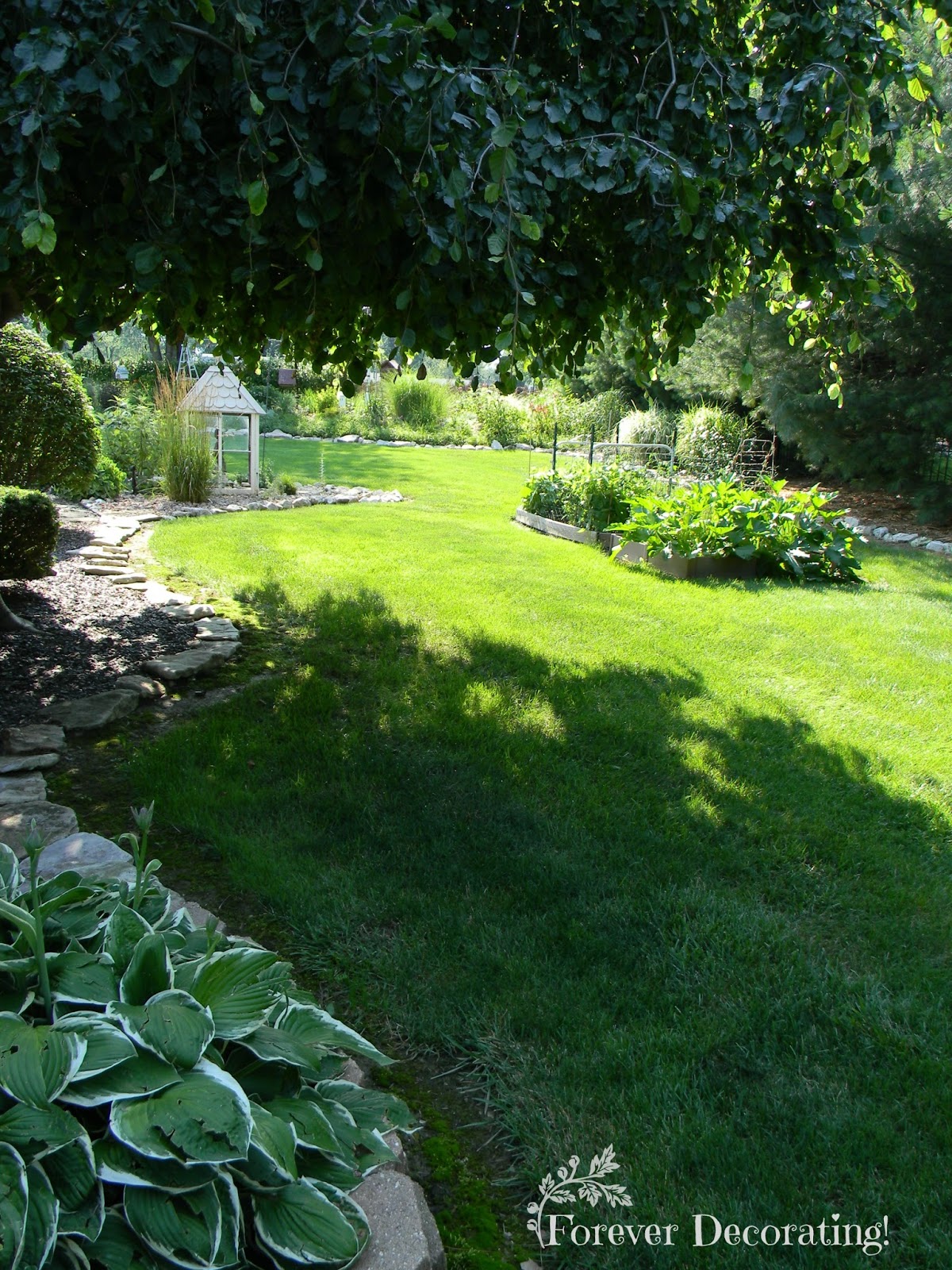 Forever Decorating!: My House & Gardens ~ Part I