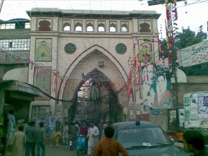 Maharaja Steel Gate